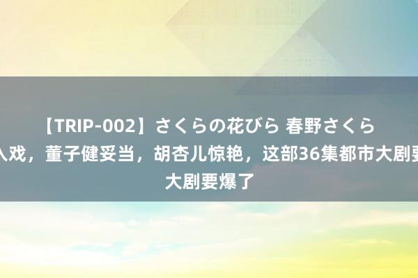 【TRIP-002】さくらの花びら 春野さくら 孙俪入戏，董子健妥当，胡杏儿惊艳，这部36集都市大剧要爆了