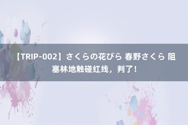 【TRIP-002】さくらの花びら 春野さくら 阻塞林地触碰红线，判了！