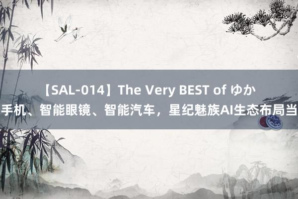 【SAL-014】The Very BEST of ゆか AI手机、智能眼镜、智能汽车，星纪魅族AI生态布局当先