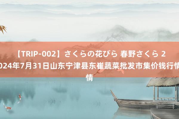 【TRIP-002】さくらの花びら 春野さくら 2024年7月31日山东宁津县东崔蔬菜批发市集价钱行情