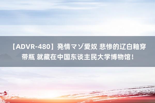 【ADVR-480】発情マゾ愛奴 悲惨的辽白釉穿带瓶 就藏在中国东谈主民大学博物馆！