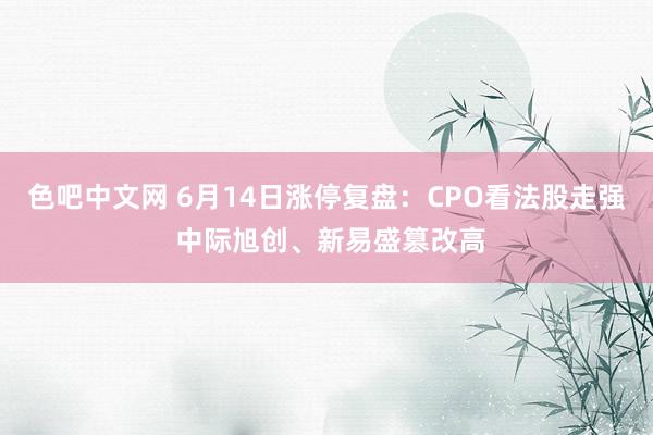 色吧中文网 6月14日涨停复盘：CPO看法股走强 中际旭创、新易盛篡改高