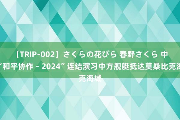 【TRIP-002】さくらの花びら 春野さくら 中莫“和平协作－2024”连结演习中方舰艇抵达莫桑比克海域