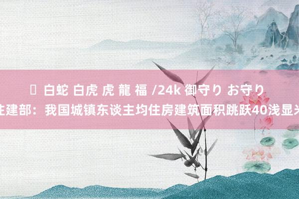 ✨白蛇 白虎 虎 龍 福 /24k 御守り お守り 住建部：我国城镇东谈主均住房建筑面积跳跃40浅显米