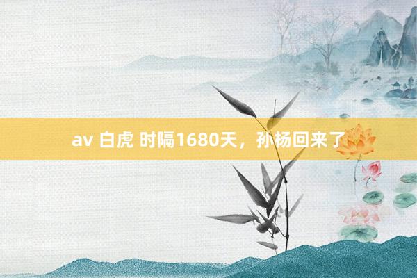 av 白虎 时隔1680天，孙杨回来了