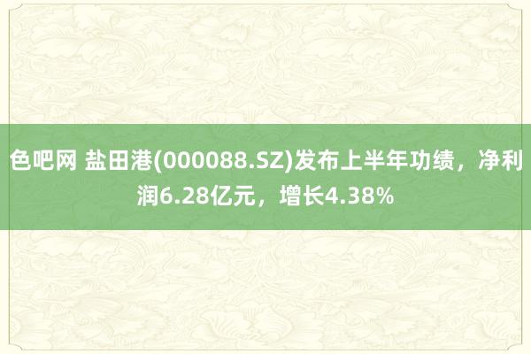 色吧网 盐田港(000088.SZ)发布上半年功绩，净利润6.28亿元，增长4.38%