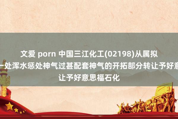 文爱 porn 中国三江化工(02198)从属拟将在建的一处浑水惩处神气过甚配套神气的开拓部分转让予好意思福石化