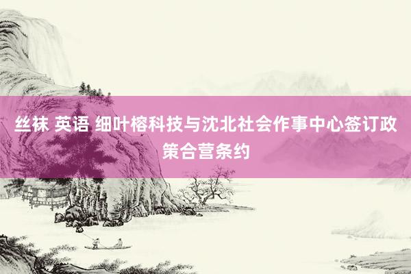 丝袜 英语 细叶榕科技与沈北社会作事中心签订政策合营条约