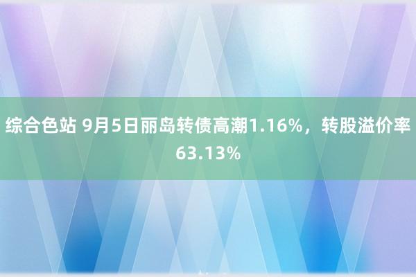 综合色站 9月5日丽岛转债高潮1.16%，转股溢价率63.13%