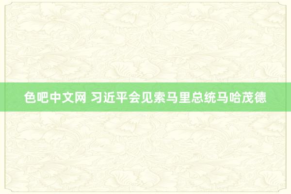 色吧中文网 习近平会见索马里总统马哈茂德