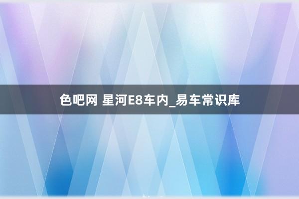 色吧网 星河E8车内_易车常识库