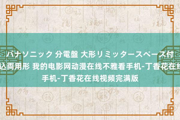 パナソニック 分電盤 大形リミッタースペース付 露出・半埋込両用形 我的电影网动漫在线不雅看手机-丁香花在线视频完满版